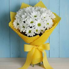 Букет цветов из:  Хризантемы в Зункаре