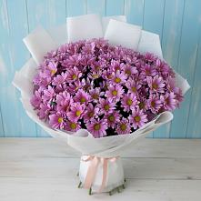 Букет цветов из:  Хризантемы в Зункаре